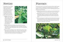 Load image into Gallery viewer, The Boreal Herbal