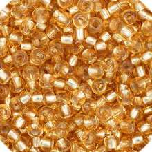 Load image into Gallery viewer, CB4977b  silverlined light gold  size 11
