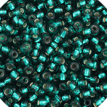 Load image into Gallery viewer, CB4982b  silverlined light green  size 11
